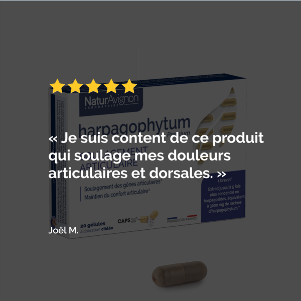 Harpagophytum gélules  - 5