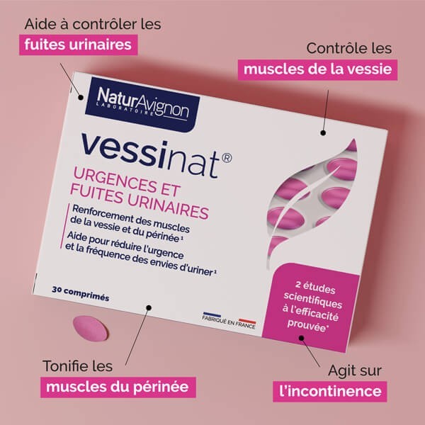 Vessinat  - 2