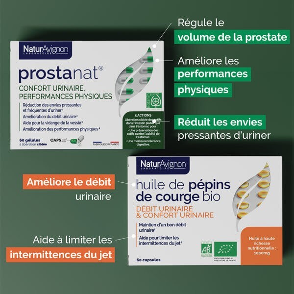 Programme Prostate  - 2