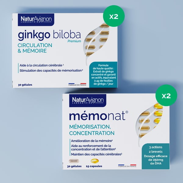 Programme Mémoire  - 1