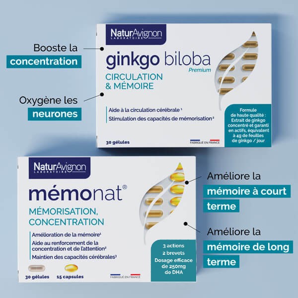 Programme Mémoire  - 2