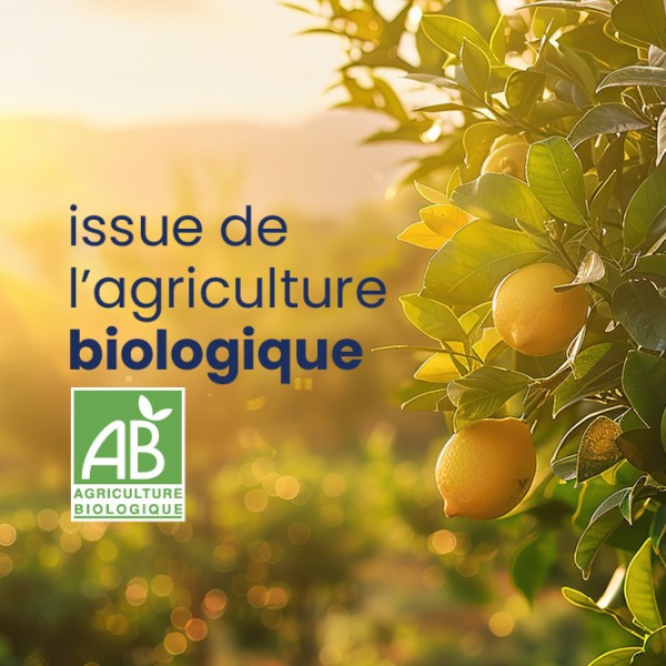 Natdétox, foie, reins, intestins  - 4