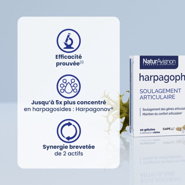 Harpagophytum gélules  - 3