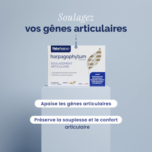 Harpagophytum gélules  - 2