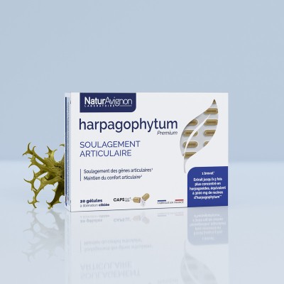 Harpagophytum gélules  - 1