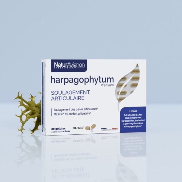 Harpagophytum gélules  - 1