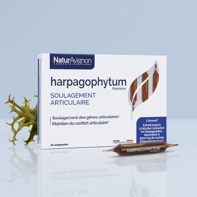 Harpagophytum ampoules - 1