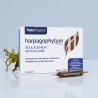 Harpagophytum ampoules  - 1