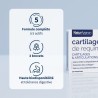 Complément Alimentaire Cartilage de Requin articulation