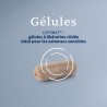 Harpagophytum premium en gélules - Articulations & Mobilité