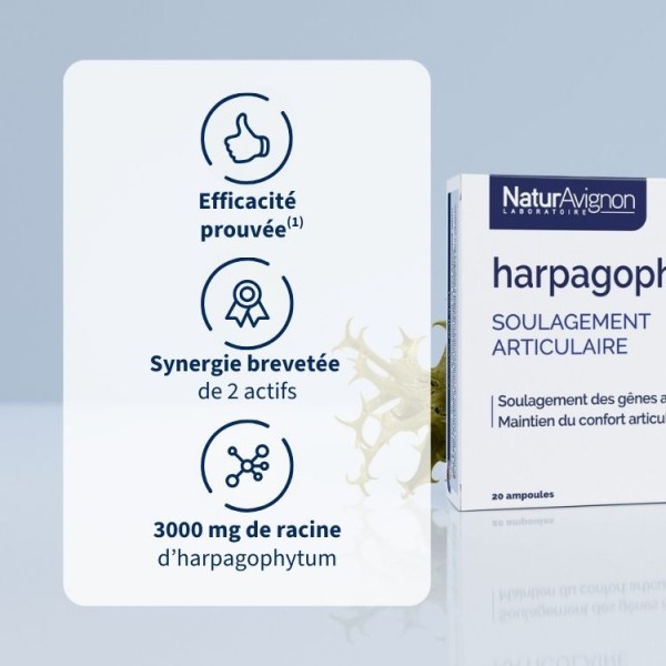 Harpagophytum - Ampoules articulations