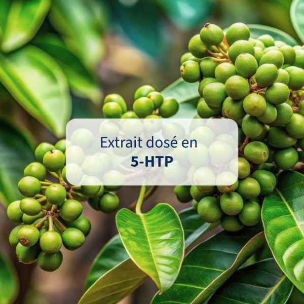 Endormifen - complément alimentaire sommeil naturel