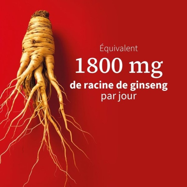 Complément alimentaire ginseng – Vitalité & bien-être naturel