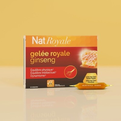Complément alimentaire ginseng – Vitalité & bien-être naturel