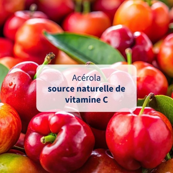 Complément Alimentaire Acérola Bio Premium & Gelée Royale
