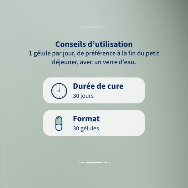 Probionat Digestion - Confort digestif