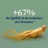 Sexnat 3G - Complément vitalité masculine