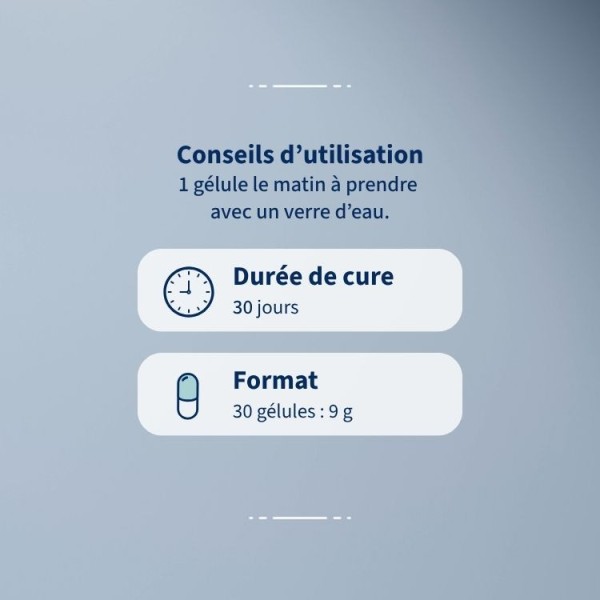 Complément alimentaire Ginkgo biloba – Mémoire & concentration