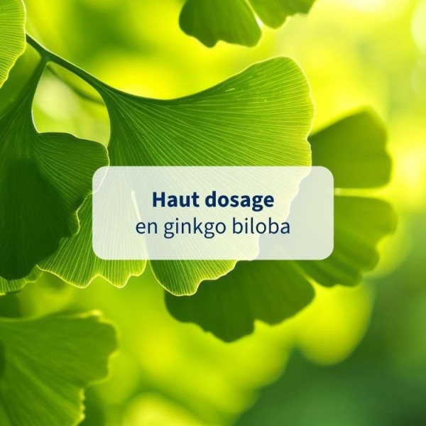 Complément alimentaire Ginkgo biloba – Mémoire & concentration