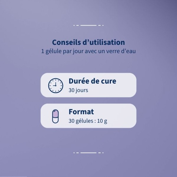 Myrtille Premium - Complément vue & antioxydant