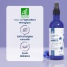 Bleuet bio - Eau florale yeux sensibles