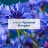 Bleuet bio - Eau florale yeux sensibles